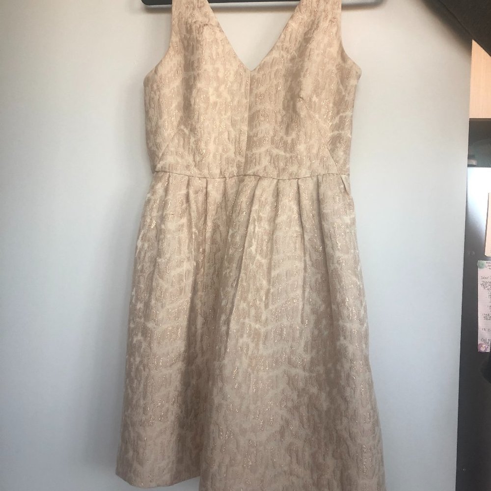 J Crew Light Cream/Pink Dress Size 6